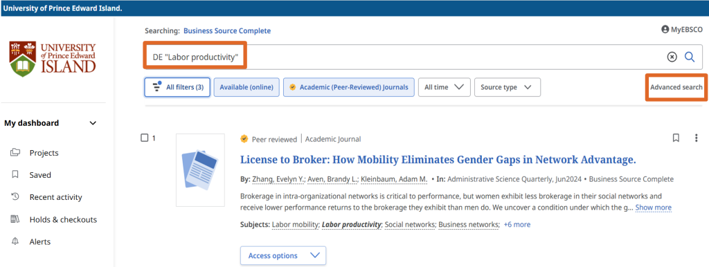 DE "Labor productivity" and Advance search link are highlighted